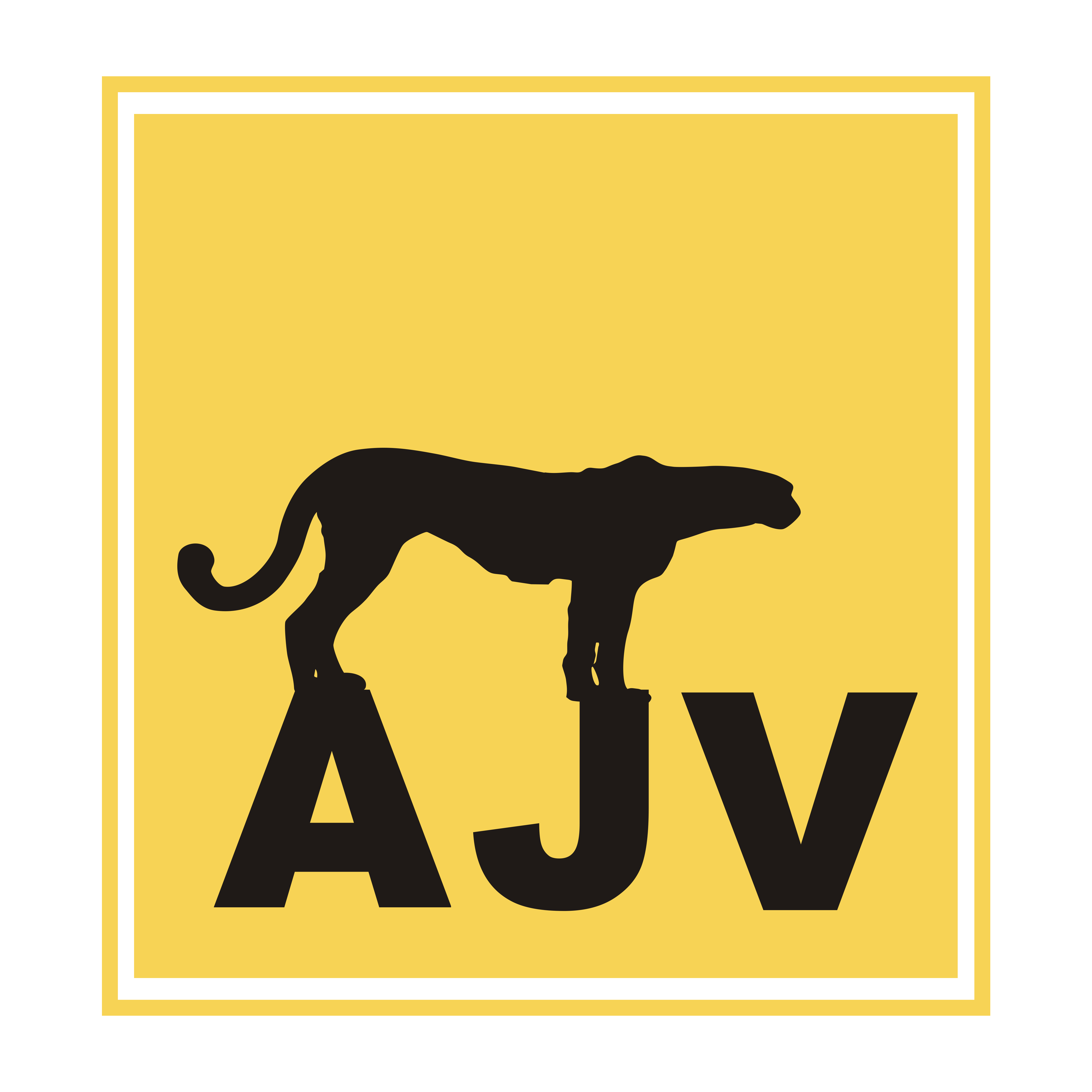 ajvalum.com